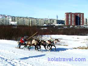 kolatravel,cross-country skiing,skiing tours,northern festival,festival of the North,murmansk,murmansk region,ski marathon,reindeer races,nuclear icebreaker,atomic icebreaker,prazdnik severa