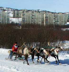 kolatravel,cross-country skiing,skiing tours,northern festival,festival of the North,murmansk,murmansk region,ski marathon,reindeer races,nuclear icebreaker,atomic icebreaker,prazdnik severa