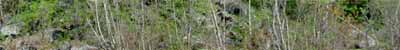 hiking holidays khibiny tundra rafting holidays umba river biking cycling white sea coast adventure holidays kola peninsula russia