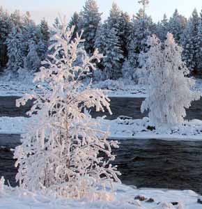 KolaTravel bus holiday groups White Barents Sea Russian Lapland Lappish culture Saami Pomor sightseeing Murmansk Polar circle Kandalaksha Apatity Kirovsk Monchegorsk Lovozero Khibiny mountains holiday excursions coast-dweller guide Ivalo Kola Peninsula indigenous people labyrinths Lotta historical museums tour tours Alakurtti Northwest Russia winter