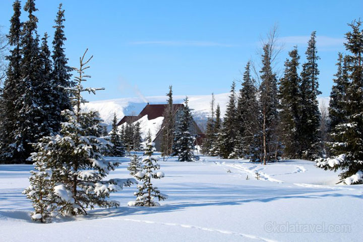 kola peninsula, russian lapland, russia, lapland, murmansk, lovozero, husky safari, husky, safari, kola travel, kola, travel