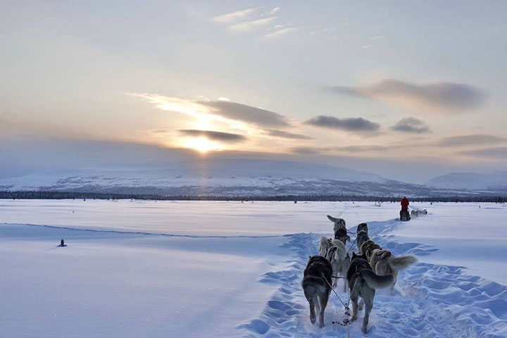 kola peninsula, russian lapland, russia, lapland, murmansk, lovozero, husky safari, husky, safari, kola travel, kola, travel