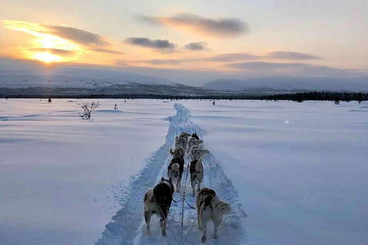 kola peninsula, russian lapland, russia, lapland, murmansk, lovozero, husky safari, husky, safari, kola travel, kola, travel