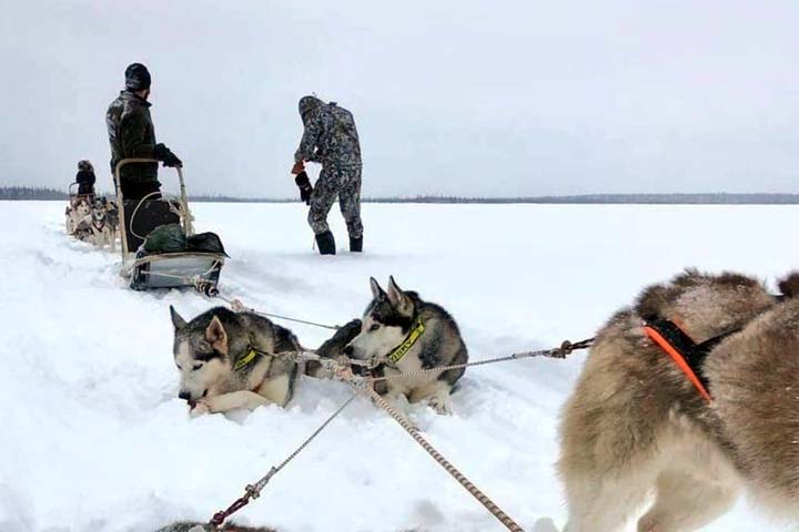 kola peninsula, russian lapland, russia, lapland, murmansk, lovozero, husky safari, husky, safari, kola travel, kola, travel