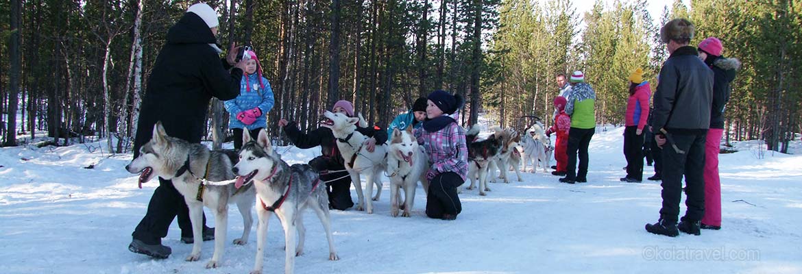 Husky safaris on the Kola Peninsula, from one-day safaris in Murmansk and Lovozero area to multi-day husky expeditions. Kola Travel