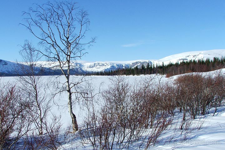 kola peninsula, russian lapland, russia, lapland, murmansk, lovozero, husky safari, husky, safari, kola travel, kola, travel