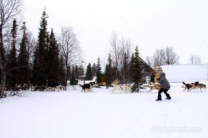kola peninsula, russian lapland, russia, lapland, murmansk, lovozero, husky safari, husky, safari, kola travel, kola, travel