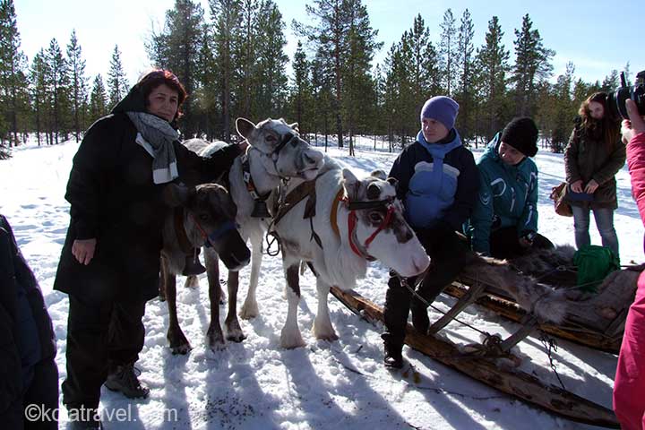 kola peninsula saami russian lapland murmansk lovozero day trip tour reindeer safari husky